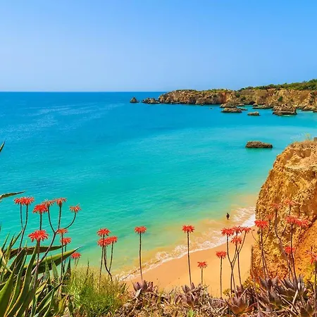Casa Alison - 6 Bedroom Carvoeiro With Private Pool Heatable And Ac Villa